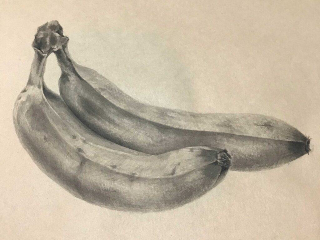 バナナの日本画　墨絵